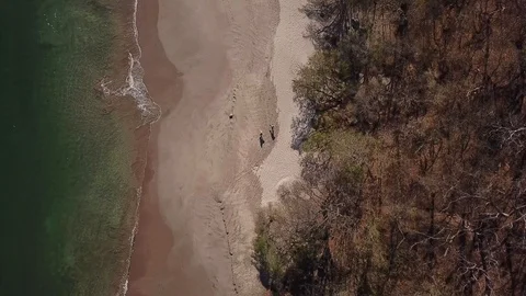 Beach top view solo surfer entering water, waves on shore Stock Footage 97175229