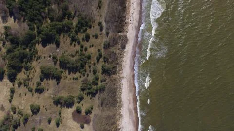 Beach top view wit forest sand and water Stock Photos