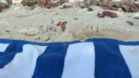 Beach Towel Lying on Sandy Beach in maldives Stock Footage 328616162