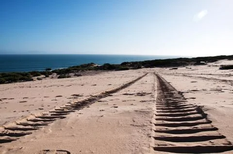 Beach tracks Foto stock