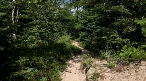 BEACH TRAIL, SANDY, DOOR COUNTY, WISCONSIN Video stock 21943718