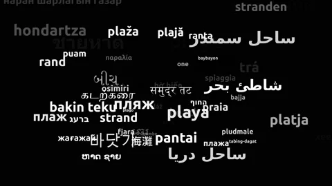 Beach Translated in 64 Worldwide Languages Endless Looping 3d Zooming Wordclo Stock-Footage 145207110