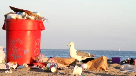 Beach Trash 4 Stock Footage 734935