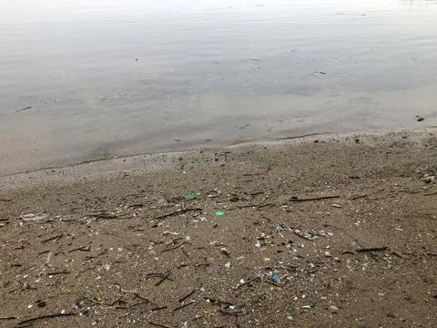 Beach with trash Stock Photos