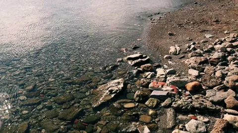 Beach with trasparent sea Video stock 57312152