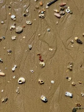 Beach Treasures Close-up Stock Photos