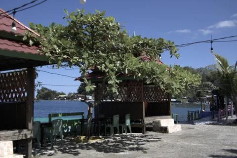 A beach with a tree and a couple of small pavilions Stock Photos