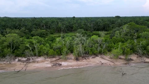 A beach tree in the background. Aerial view Pantai Parit Hailam, Batu Pahat 库存影片 325842059