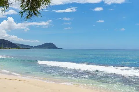 Beach with a tree in foreground, a mountain in background Stock Photos