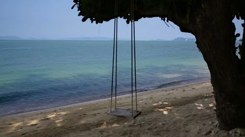 Beach tree swing ocean skyline 库存影片 62111405