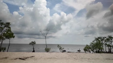 A beach with trees and a cloudy sky Видео 317259247