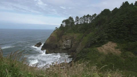 Beach With Trees and Cove Stock-Footage 165244496