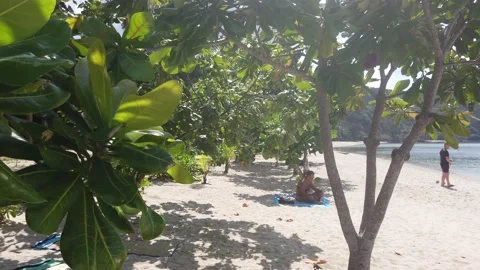 Beach with trees and people sitting and walking 스톡 동영상 220764359