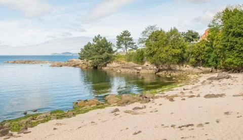 Beach with trees and rocks Stock Photos