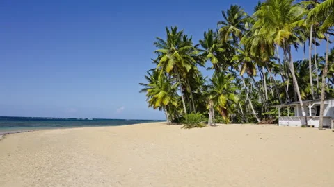 Beach with trees and shacks in the Caribbean Stock Footage 268835200