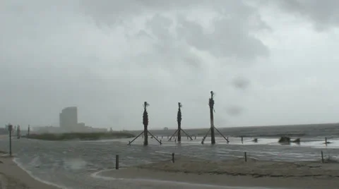 Beach trees Stock Footage 25332051