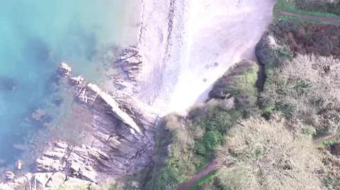 Beach from Trees. Video stock 57395595