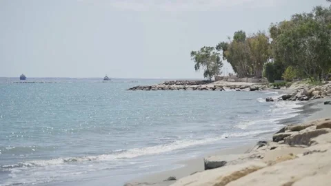 Beach with trees 動画素材 229582274