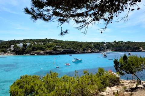 Beach with trees Stock Photos