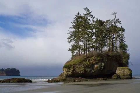 Beach with trees Stock Photos