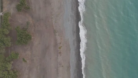 Beach trees road Stock Footage 314319538