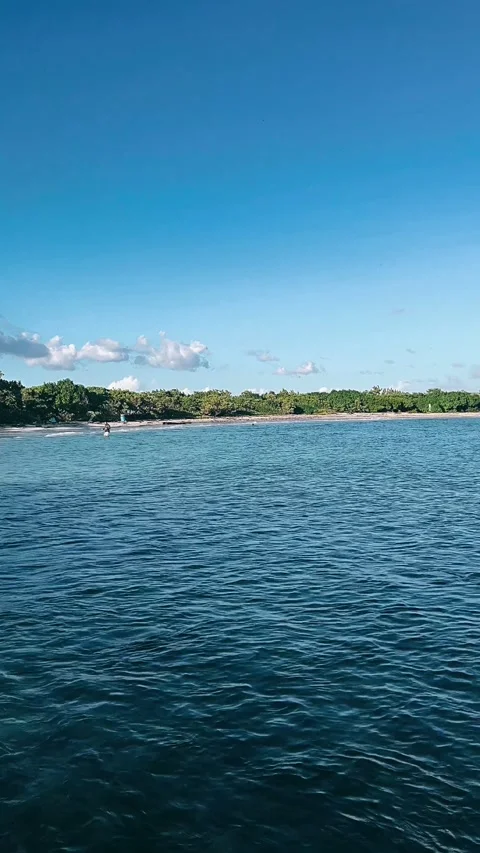 Beach with trees,water, sky, Stock Footage 225740802
