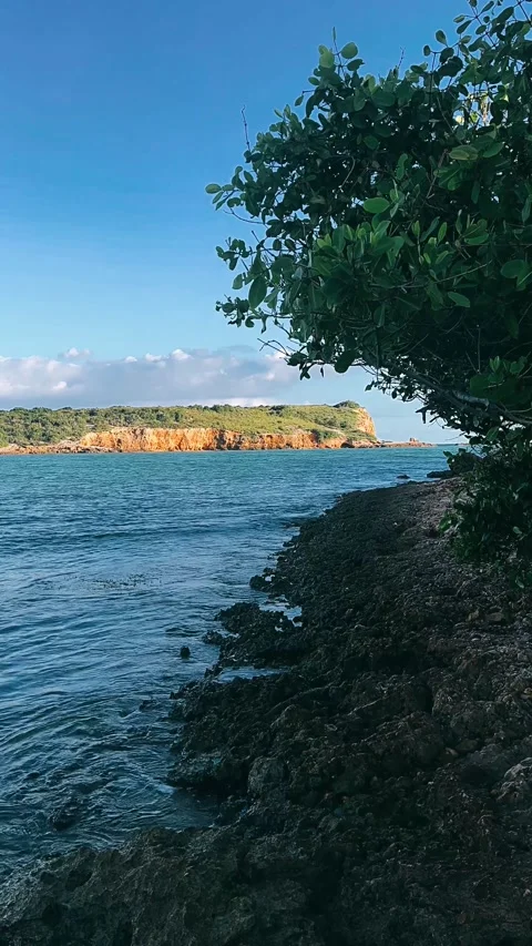 Beach with trees,water, sky, Video stock 233630771