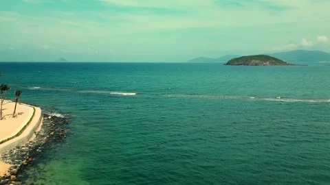 Beach on the tropical. Palm trees at sunlight. Coconut palm trees up view. Green Stock Footage 241276725