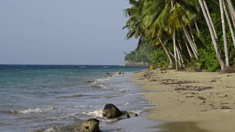 Beach at a tropical paradise Vídeo Stock 268749676