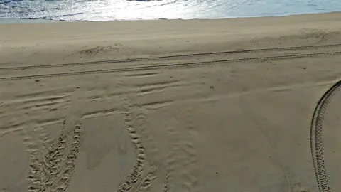 Beach Turtle Tracks Revealing Pacific Ocean Waves – Aerial View Stock Footage 333980146