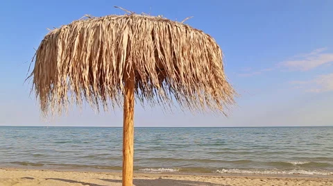 Beach umbrella 스톡 동영상 50600384