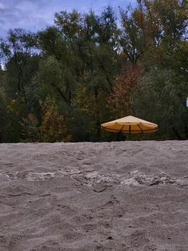 Beach umbrella in front of forest trees 写真素材