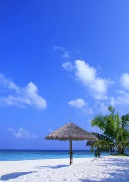 Beach Umbrella Stock Photos