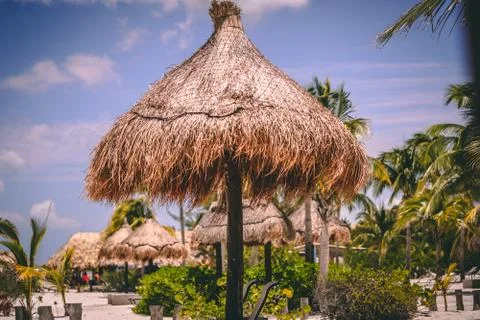 Beach umbrella from Straw Stock Photos