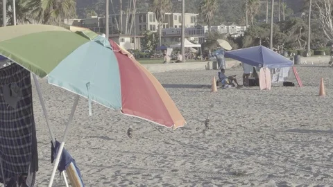 Beach Umbrella at Sunset 스톡 동영상 83607147