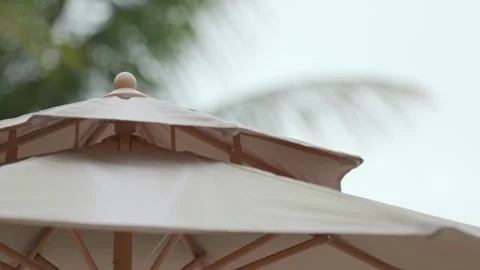 Beach umbrella with tree background Stockbeeldmateriaal 265774288