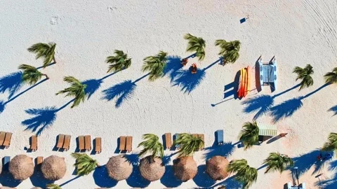 Beach umbrellas and deck chairs on the sea coast on a sunny day. Stock Footage 289862281