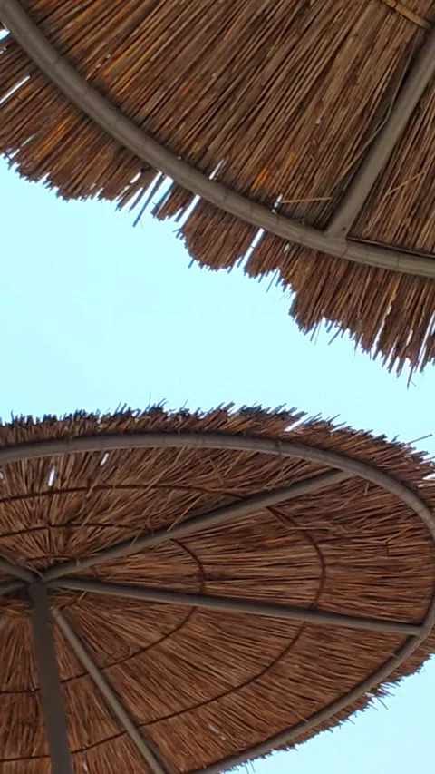 Beach umbrellas on a background of blue sky. Close up. Stock-Footage 313983024