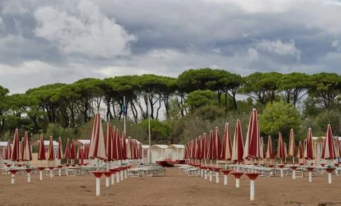 Beach umbrellas on an empty beach, view to the pinewood, at the end of summer Stock Photos