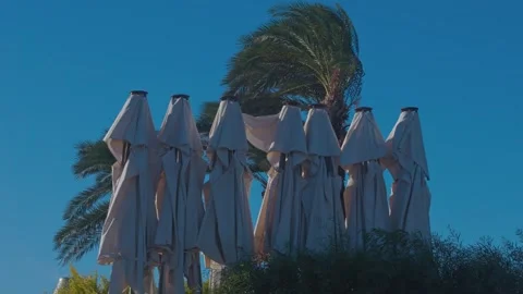 Beach umbrellas Stock Footage 322511227