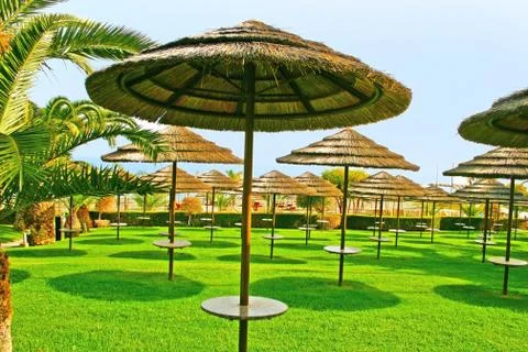 Beach umbrellas Stock Photos