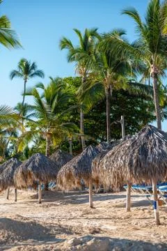 Beach umbrellas Stock Photos