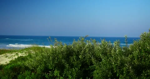 Beach Uncovered By a Beautiful grass Stock Footage 247336599