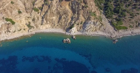 Beach under cliffs and wild olive trees Stock Footage 93389894