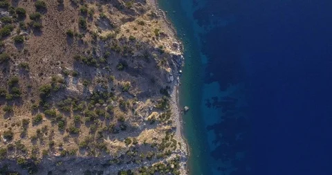 Beach under cliffs and wild olive trees Stock Footage 93397733