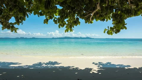 Beach under shadow of tree Stock Footage 197364857