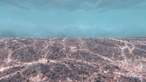 Beach Underwater Vídeo Stock 95828235