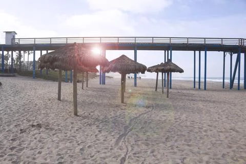 Beach vacation background with palm tree umbrellas and pier in summer with su 库存照片