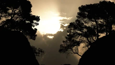 Beach Valley Silhouette Trees Forest Cliffs, Stock Footage 194976657