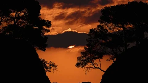 Beach Valley Silhouette Trees Forest Cliffs, Stock Footage 234486981